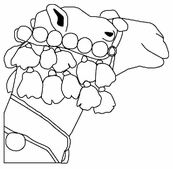 coloriage tete de chameau